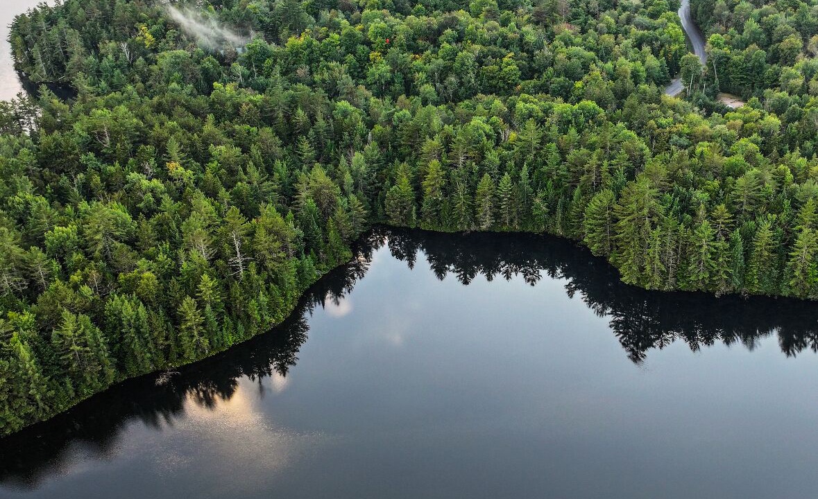 Photo of Outdoor in Vermontville