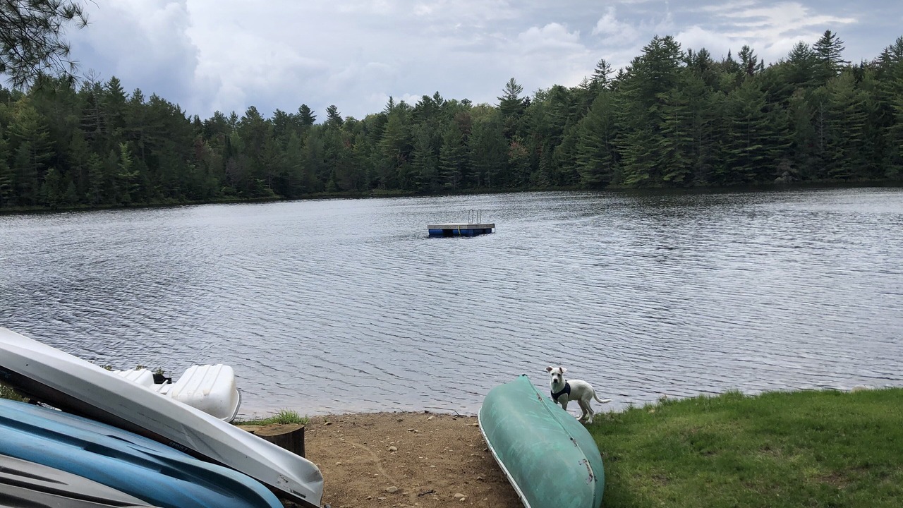 Photo of Others in Vermontville
