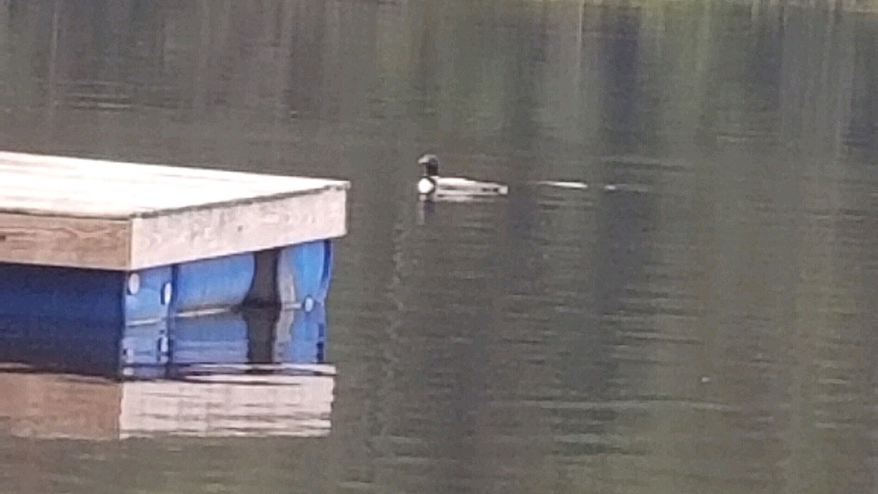 Photo of Others in Vermontville