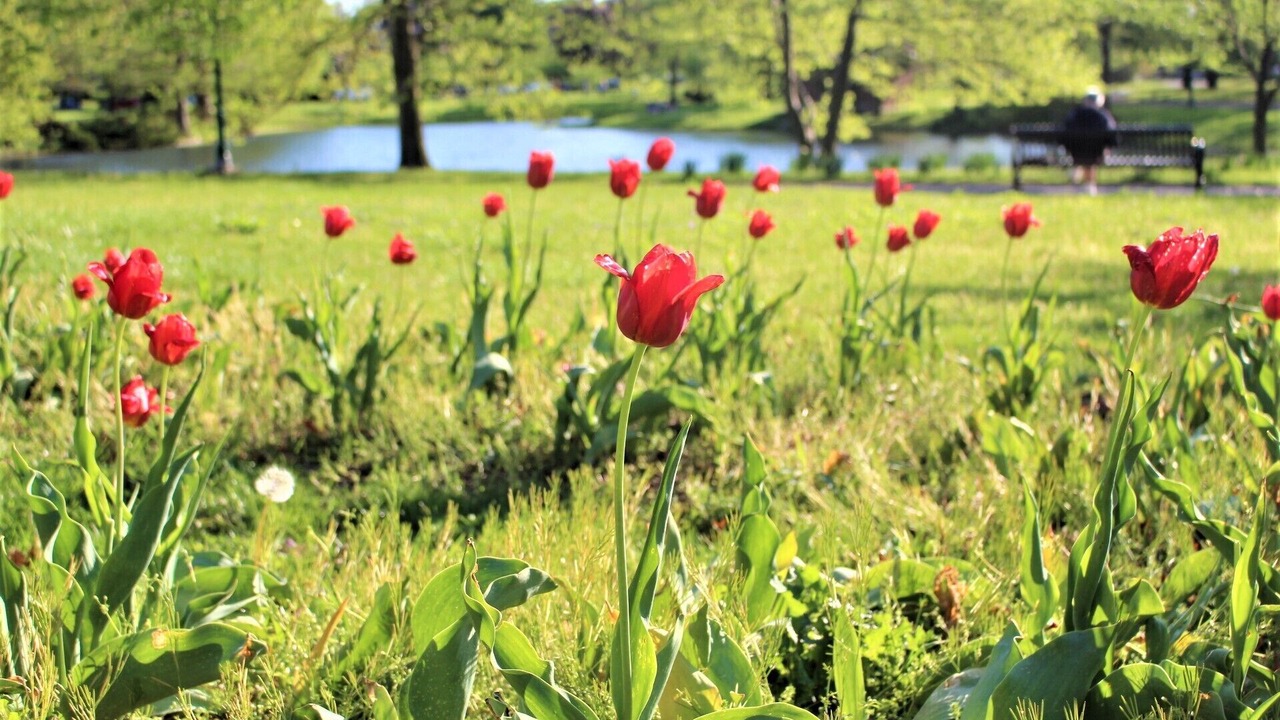 Photo of Outdoor in Franklin Park