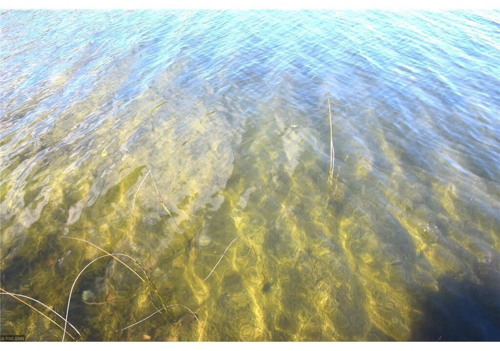 Photo of Others in Pequot Lakes