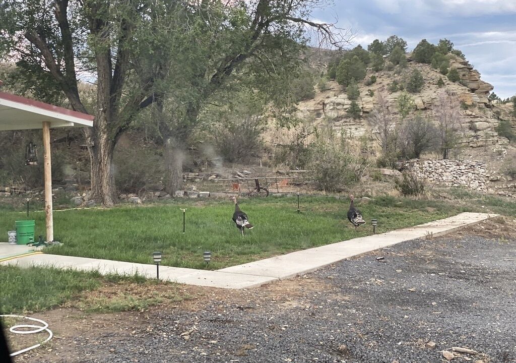 Photo of Others in Raton
