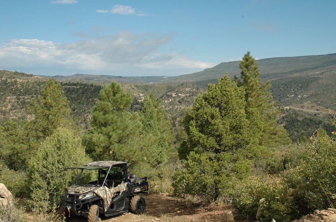 Photo of Others in Raton