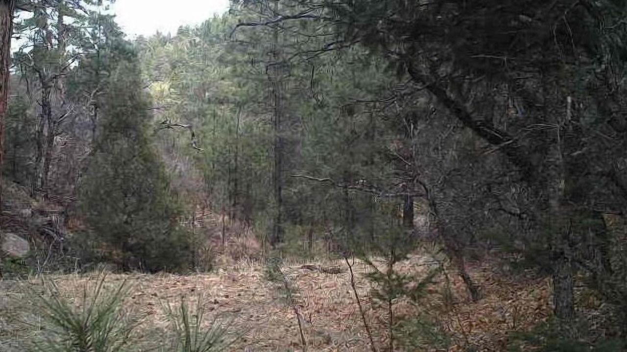 Photo of Others in Raton