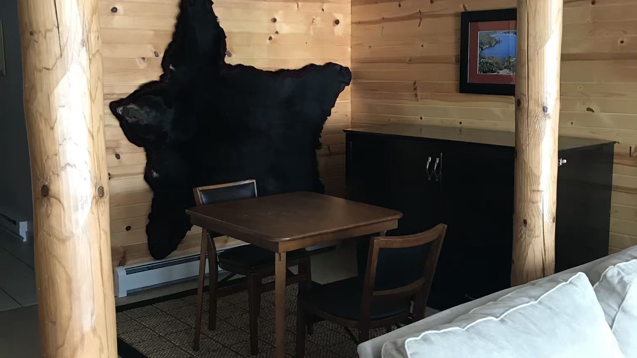 Photo of Livingroom in Willard