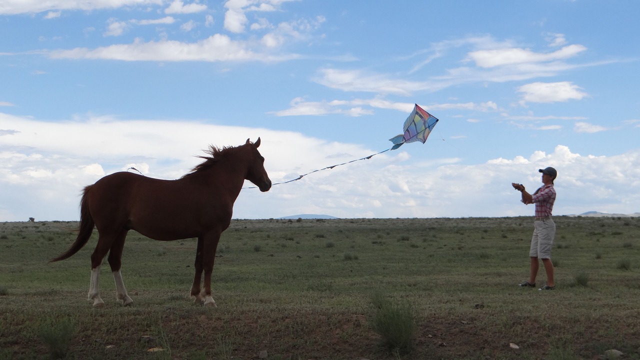 Photo of Others in Capulin