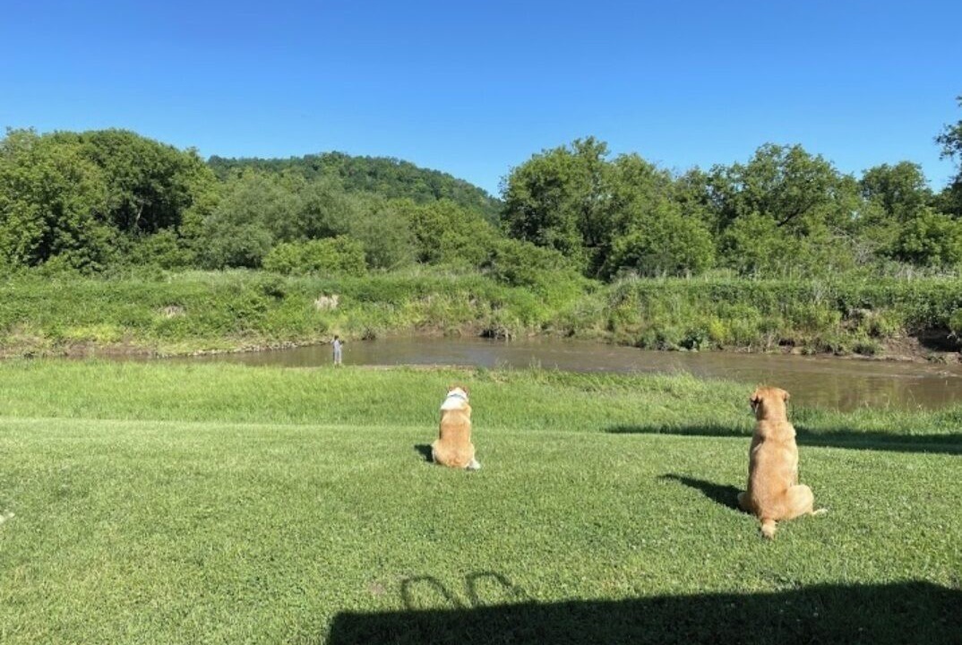 Photo of Outdoor in Viroqua