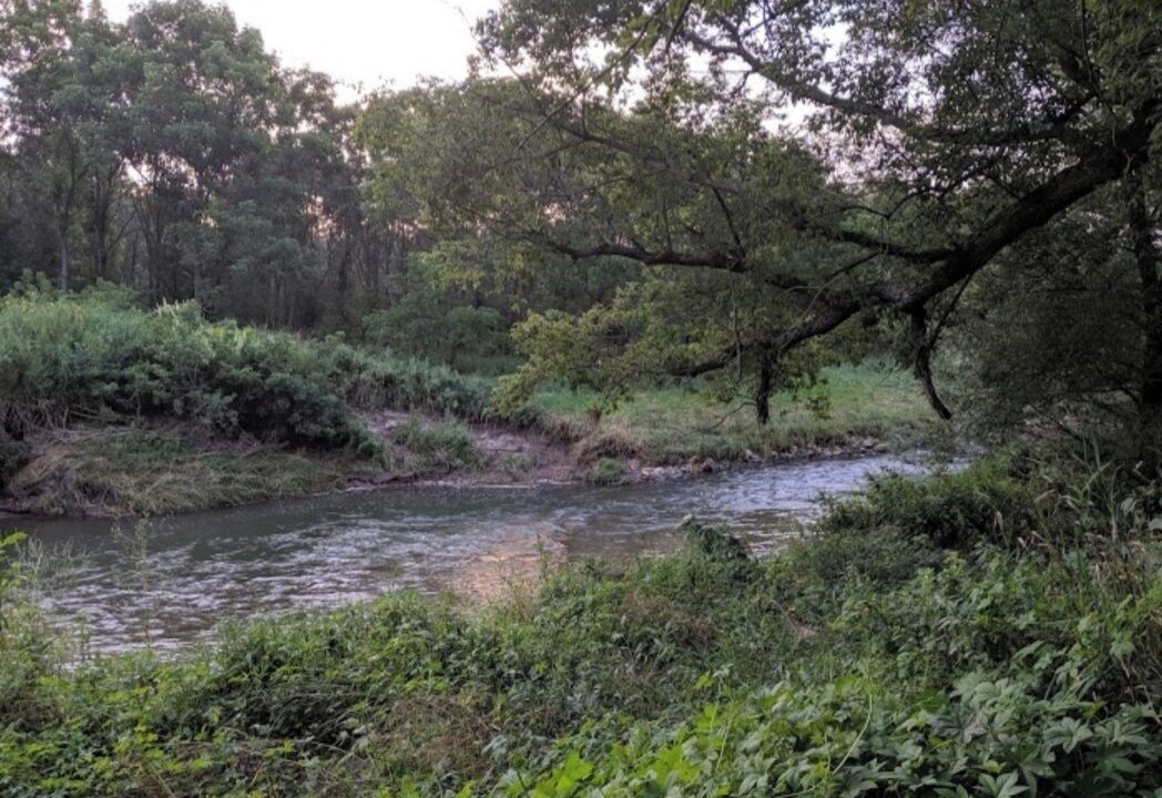 Photo of Outdoor in Viroqua