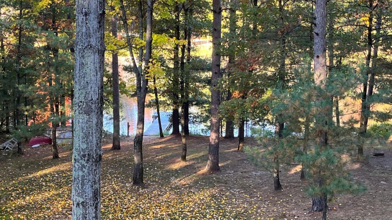 Photo of Outdoor in Hatfield