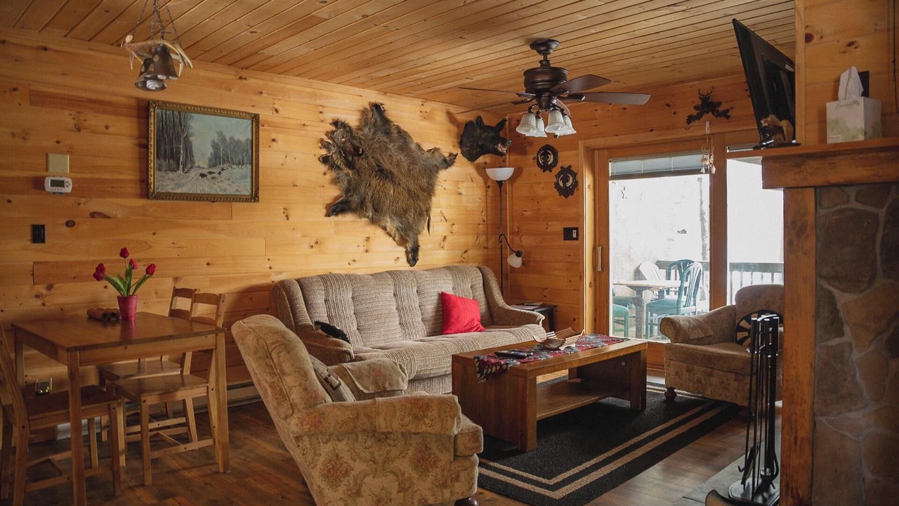 Photo of Livingroom in Long Lake