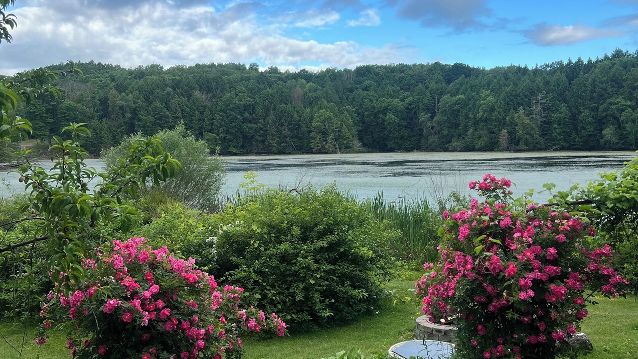 Photo of Outdoor in Lanesborough