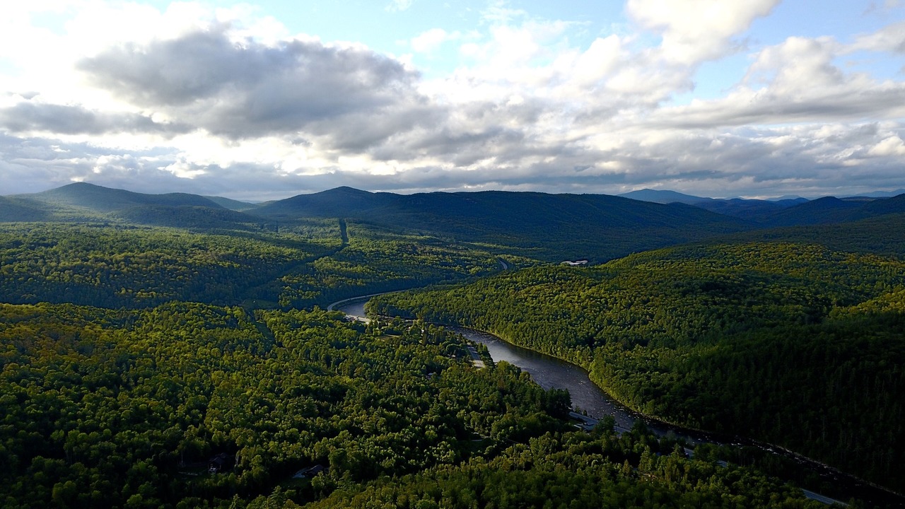Photo of Others in North Creek