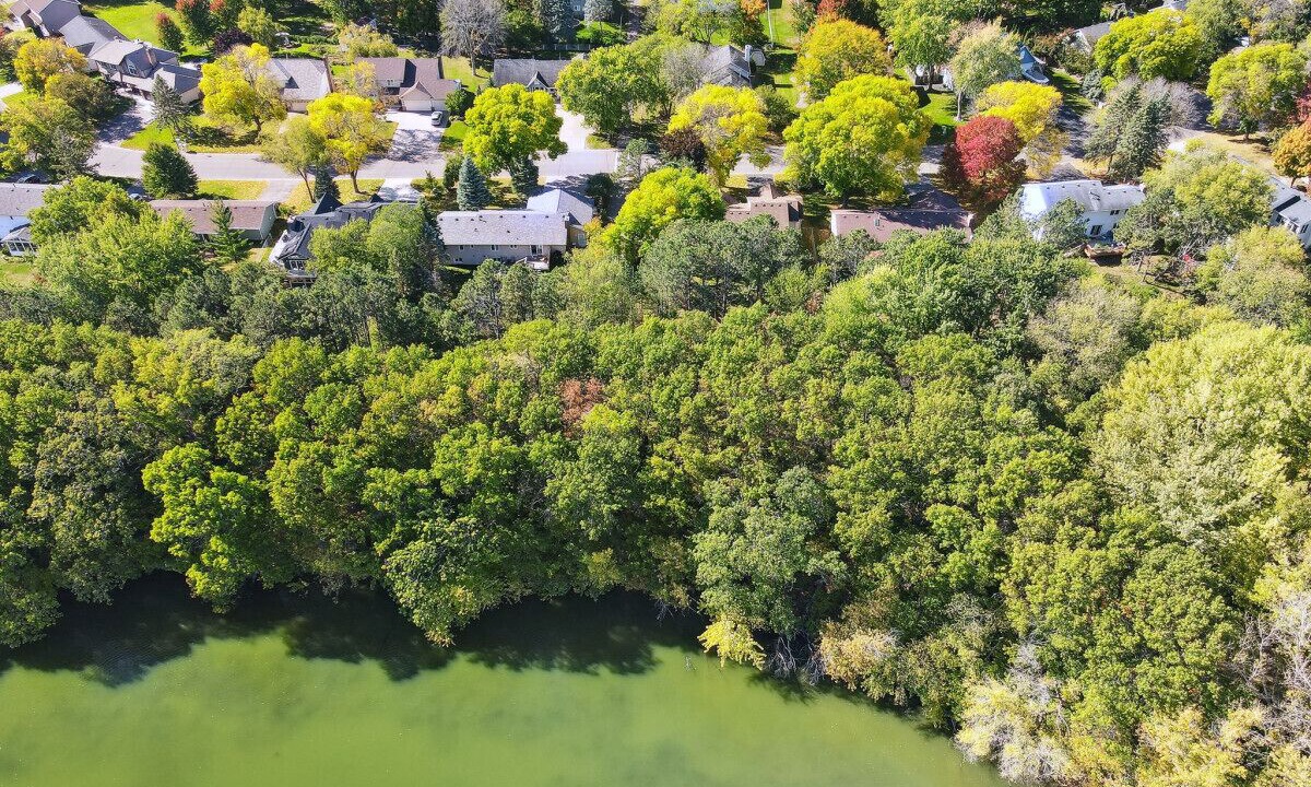 Photo of Outdoor in Woodbury
