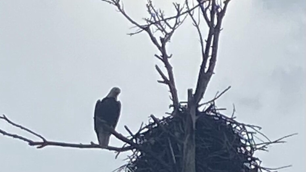 Photo of Others in Hayward