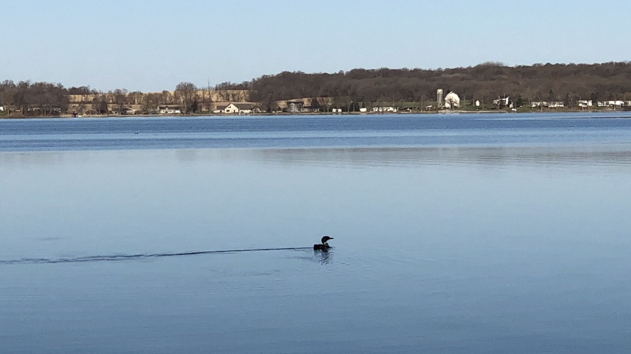 Photo of Others in Detroit Lakes