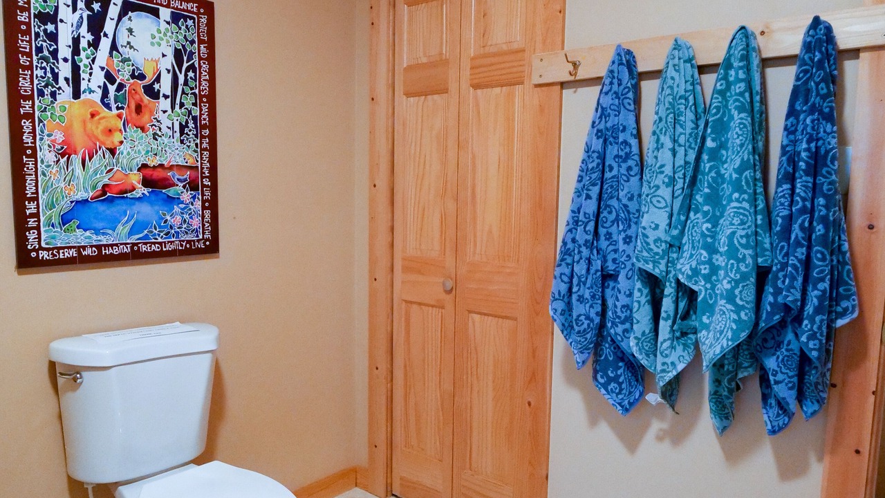 Photo of Bathroom in Chief Lake