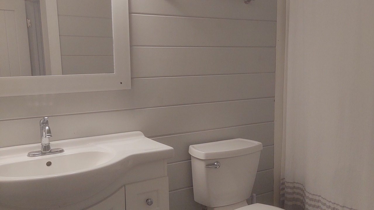 Photo of Bathroom in Pierce County