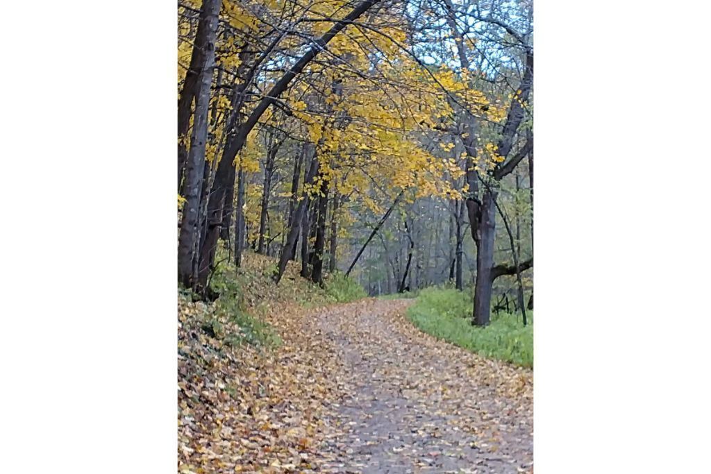 Photo of Others in Pierce County