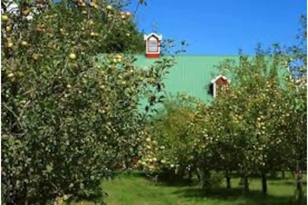 Photo of Others in Pierce County