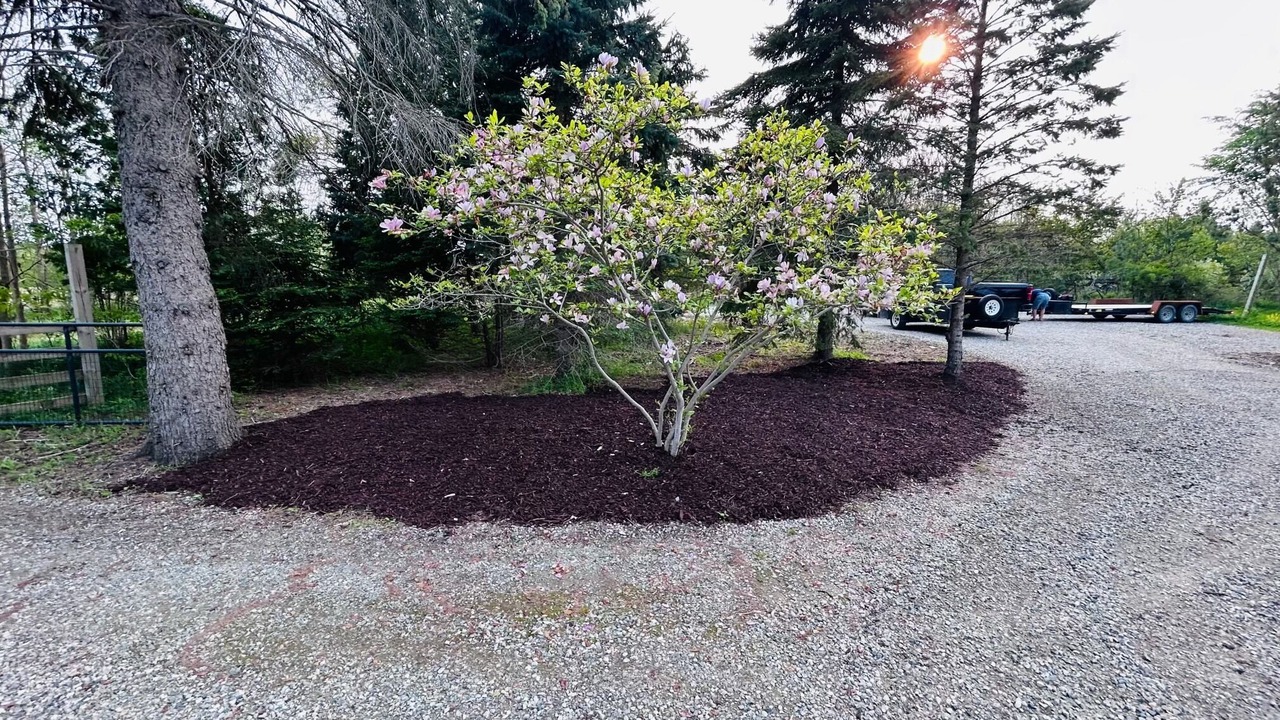 Photo of Outdoor in Lexington