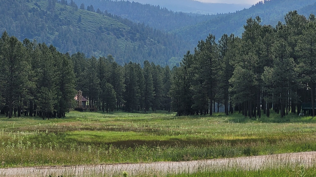 Photo of Others in Angel Fire