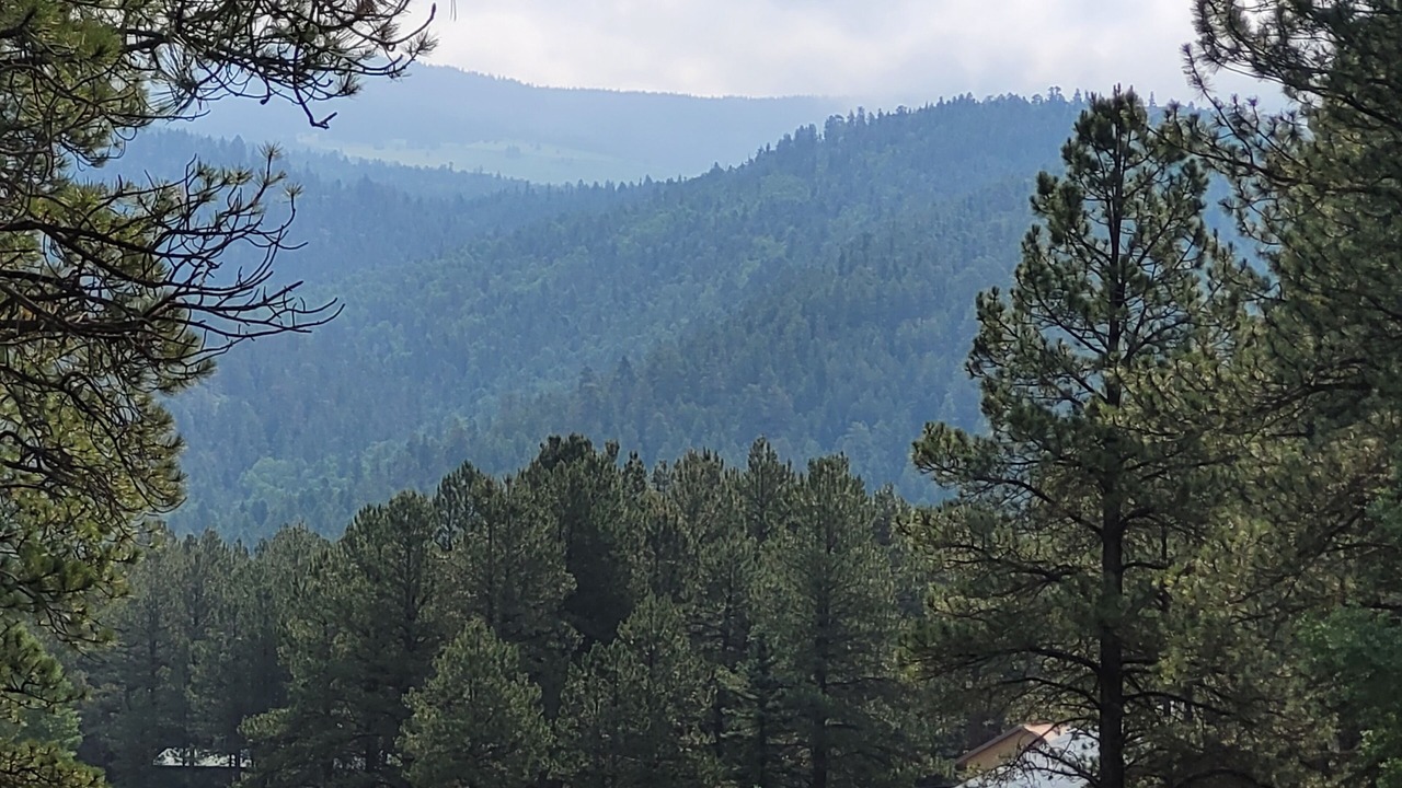 Photo of Others in Angel Fire