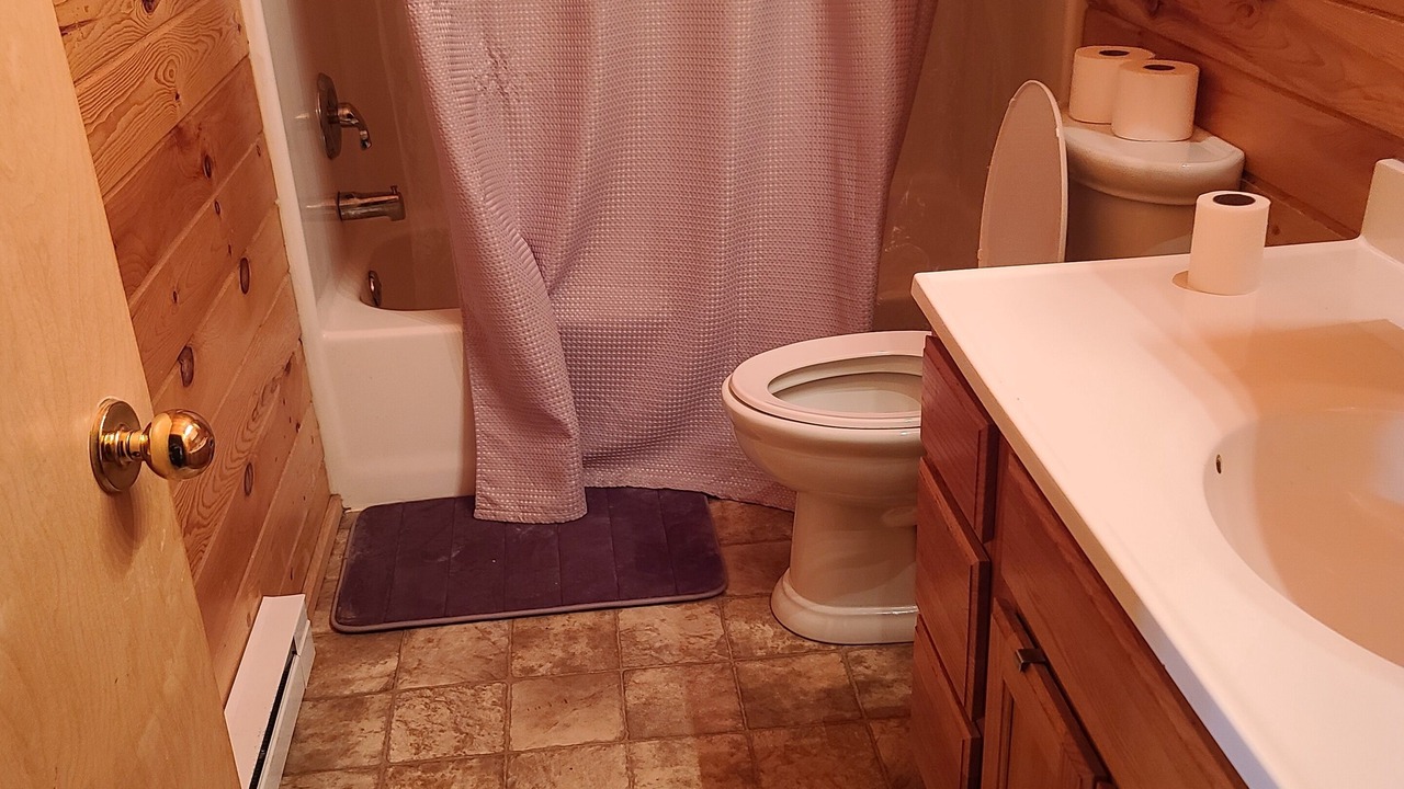 Photo of Bathroom in Caledonia
