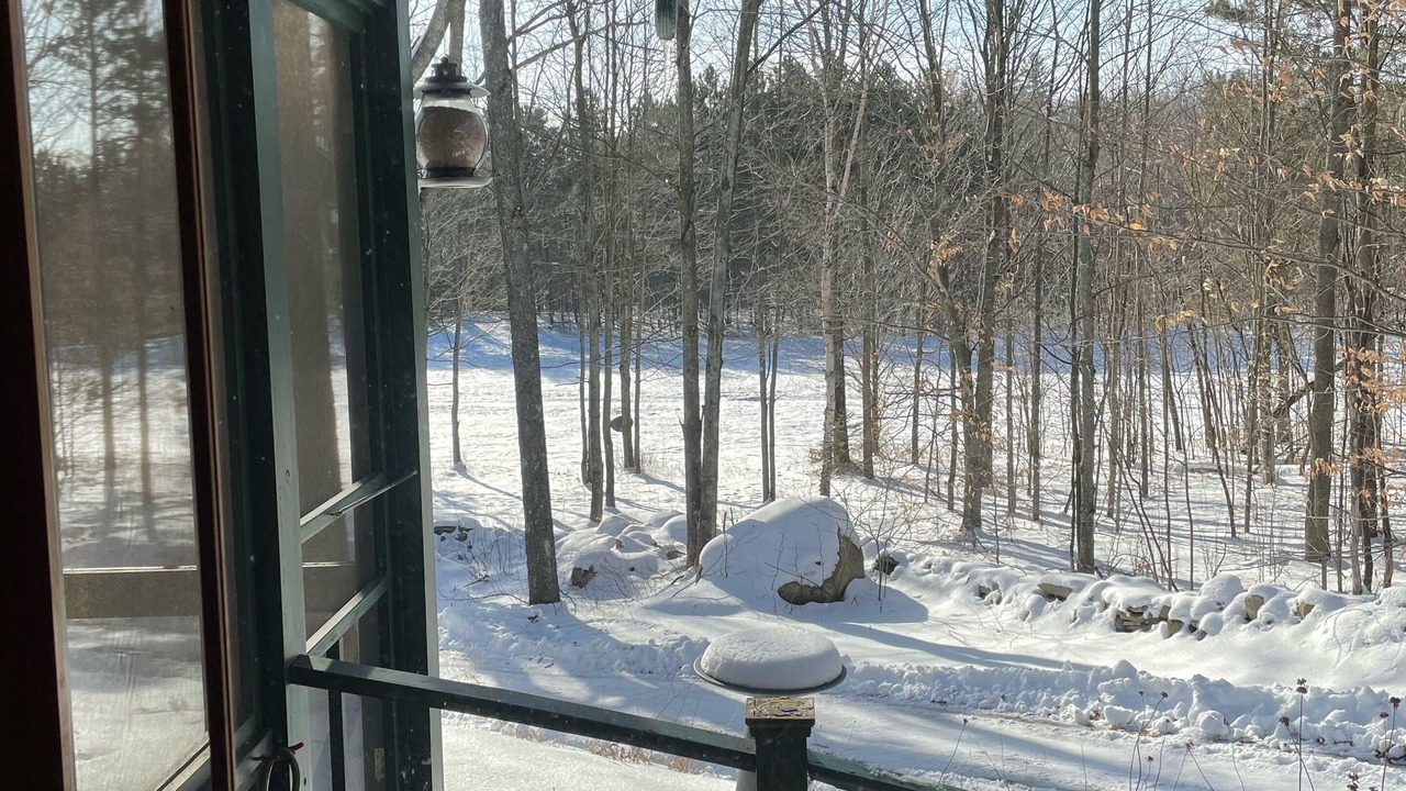 Photo of Outdoor in North Bangor