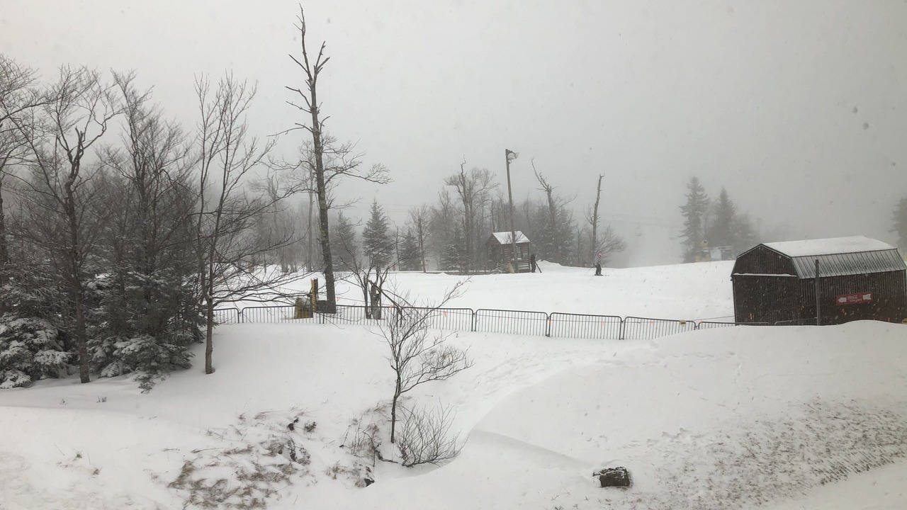 Photo of Others in Snowshoe