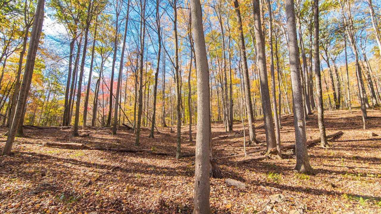 Photo of Outdoor in Berkeley Springs