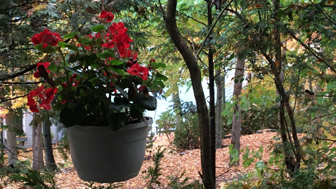 Photo of Outdoor in Moriah Center