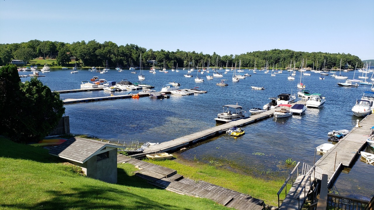 Photo of Others in Malletts Bay