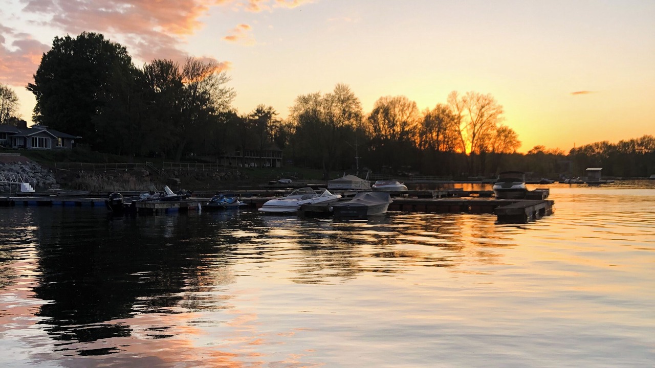 Photo of Others in Malletts Bay