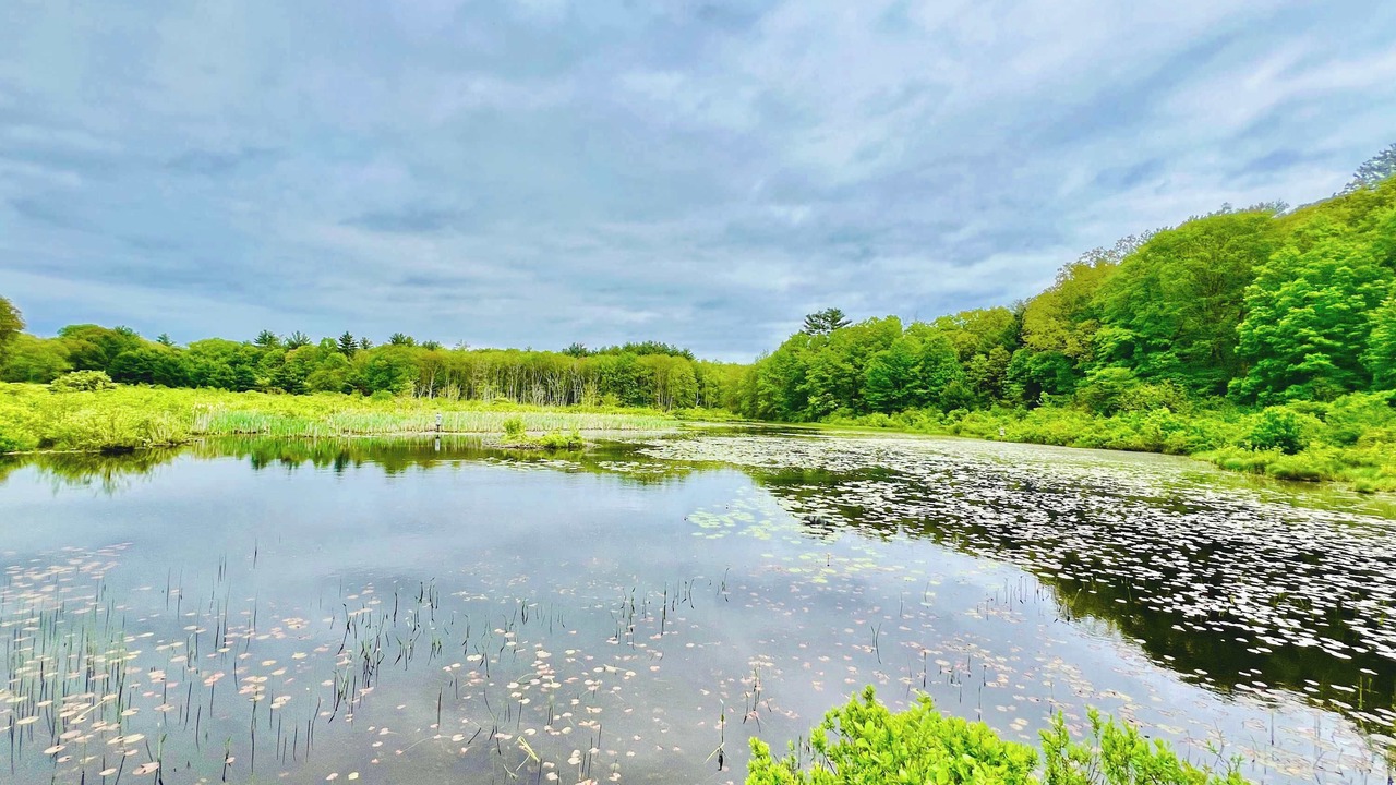 Photo of Outdoor in Willington