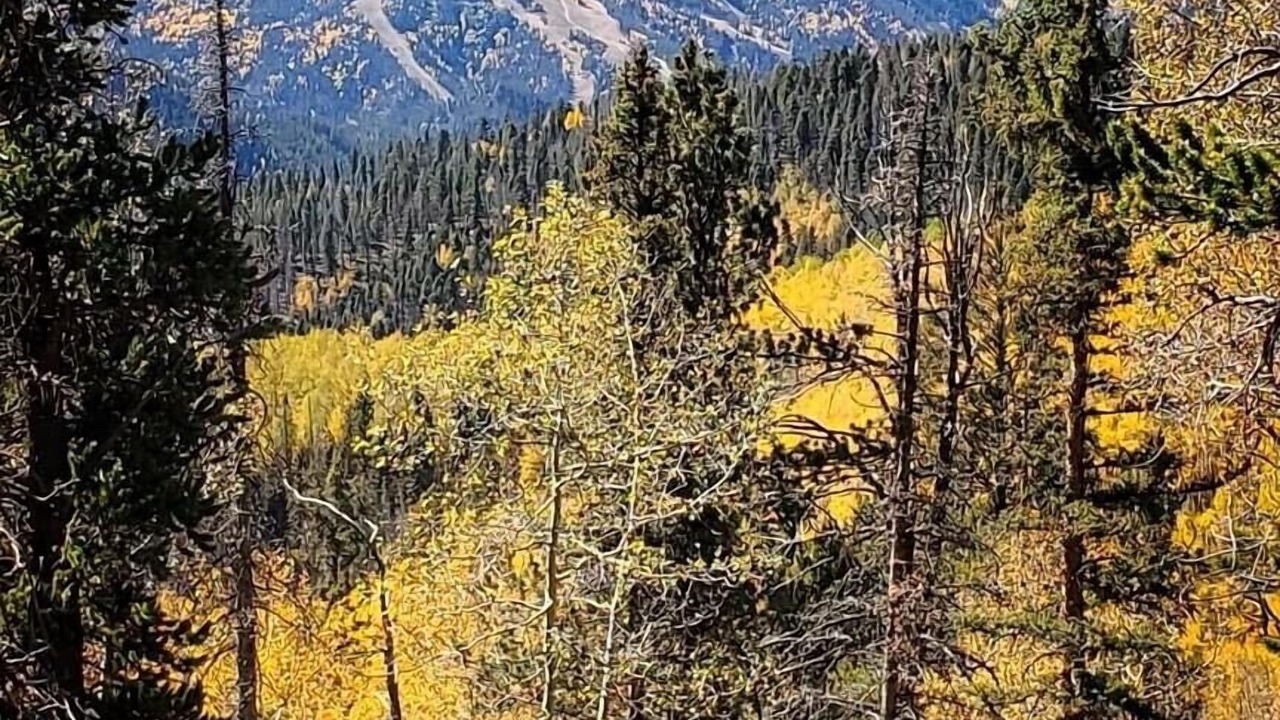 Photo of Others in Red River