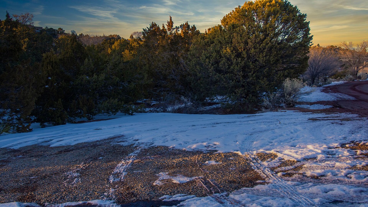 Photo of Others in Northeast Santa Fe