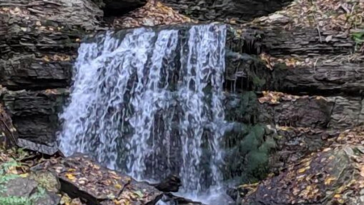 Photo of Others in Decorah
