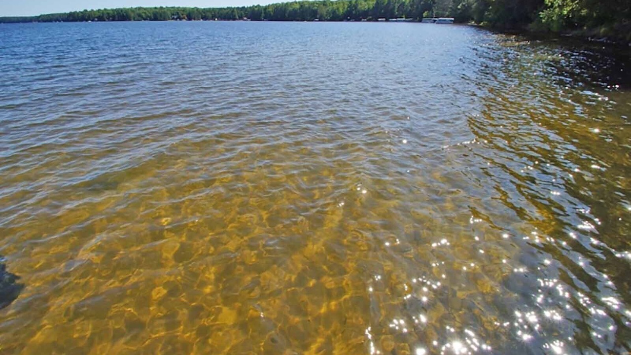 Photo of Others in Stone Lake