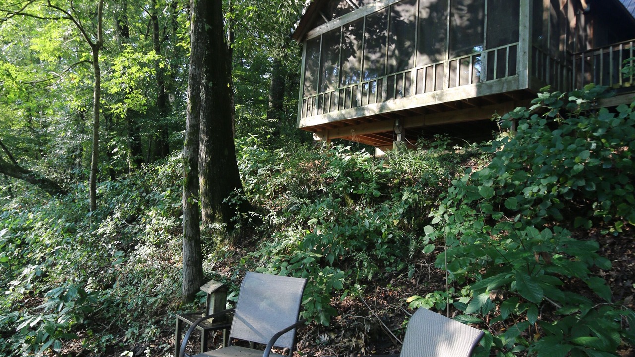 Photo of Outdoor in Pangburn