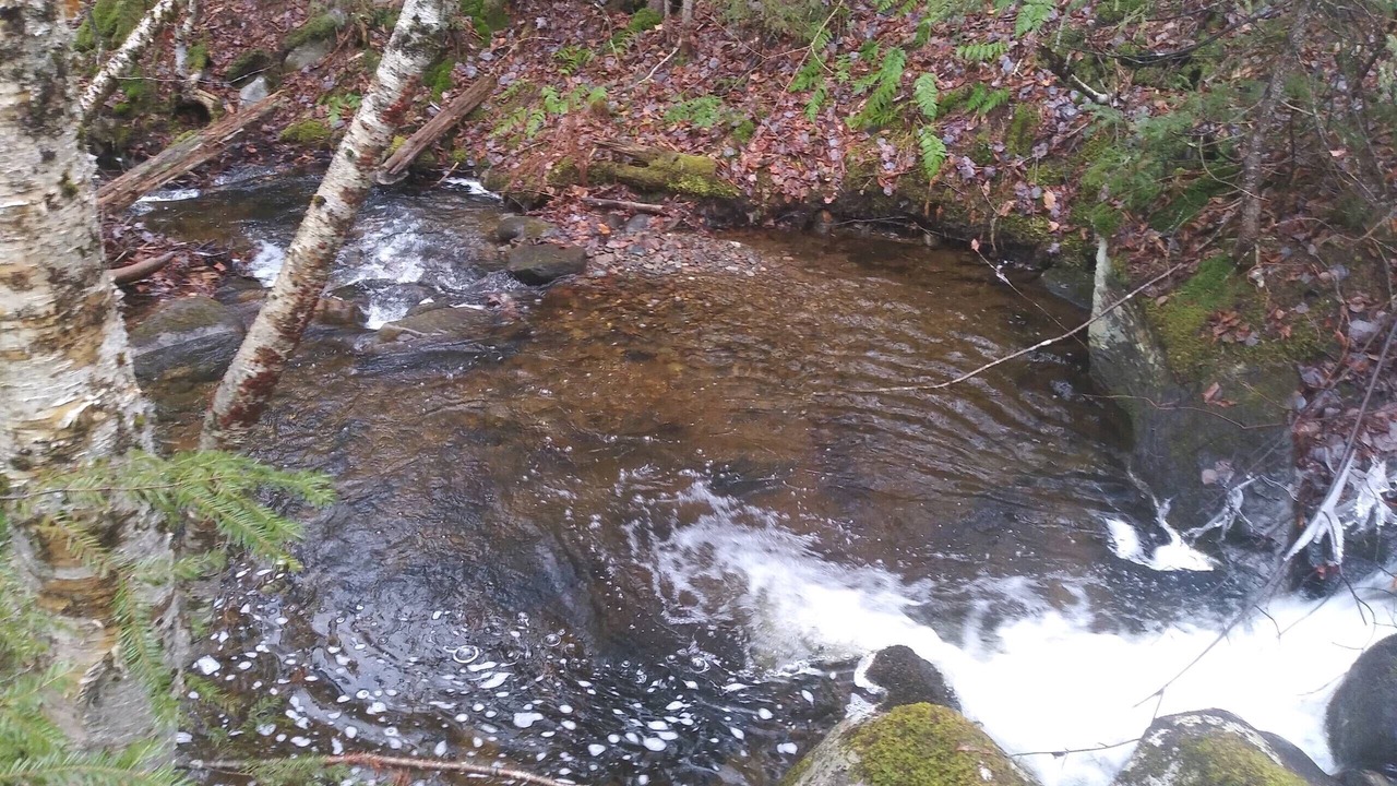 Photo of Outdoor in Errol