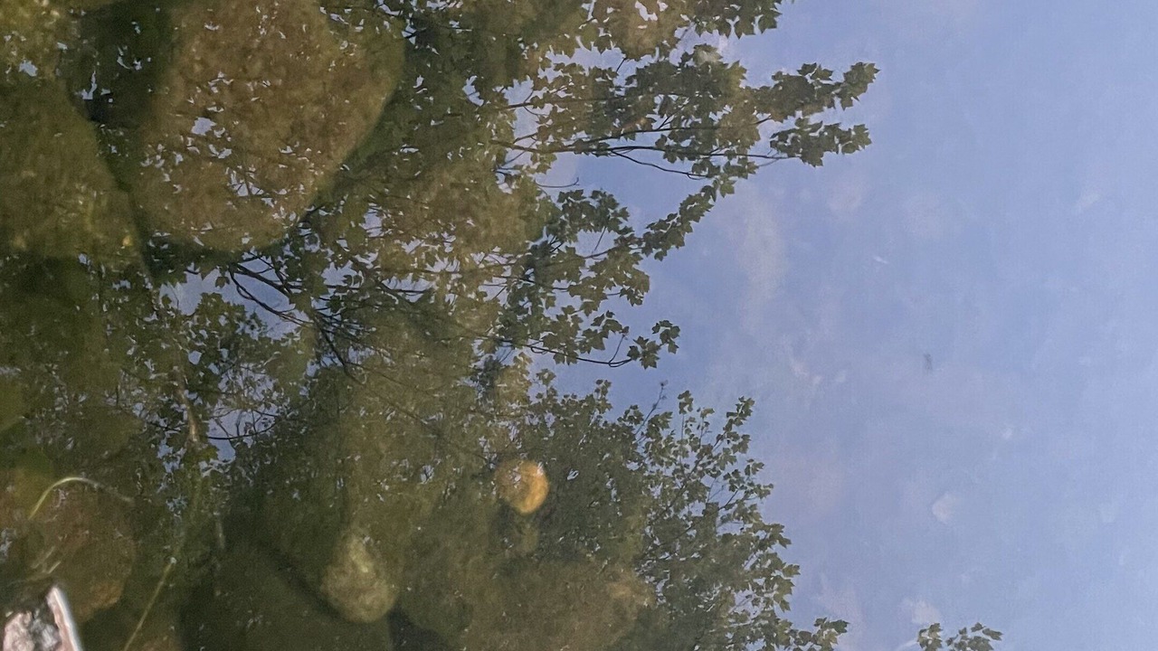 Photo of Others in Jim Falls