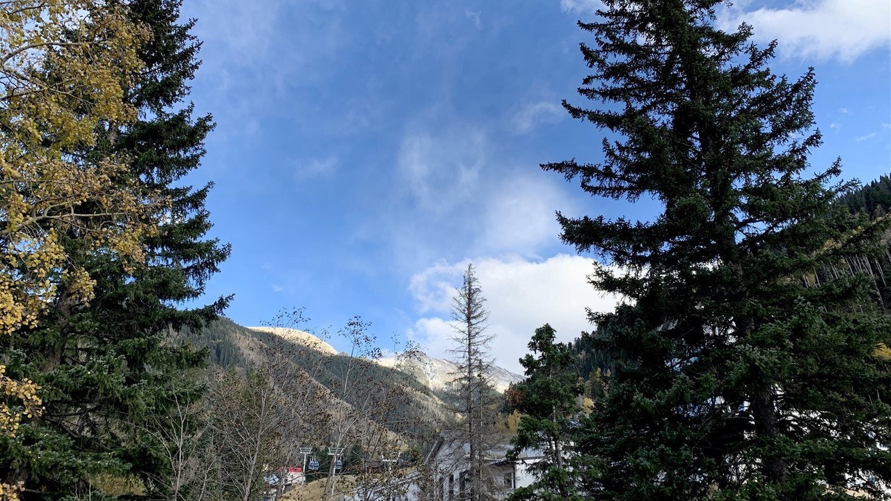 Photo of Others in Taos Ski Valley
