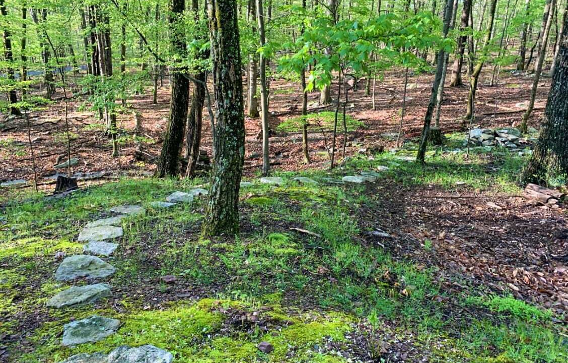 Photo of Others in Berkeley Springs