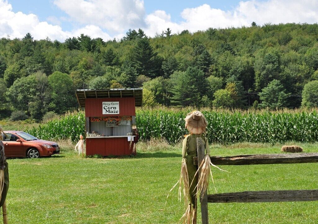 Photo of Others in Stowe Area