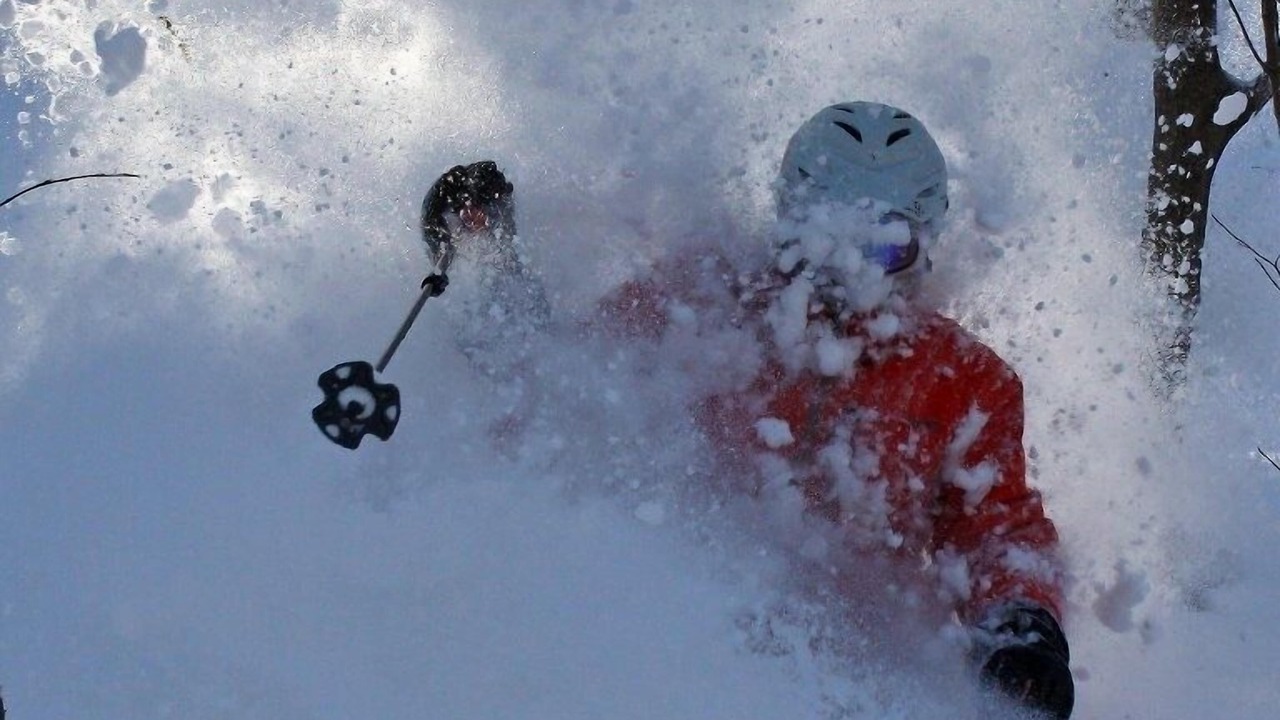 Photo of Others in Stowe Area
