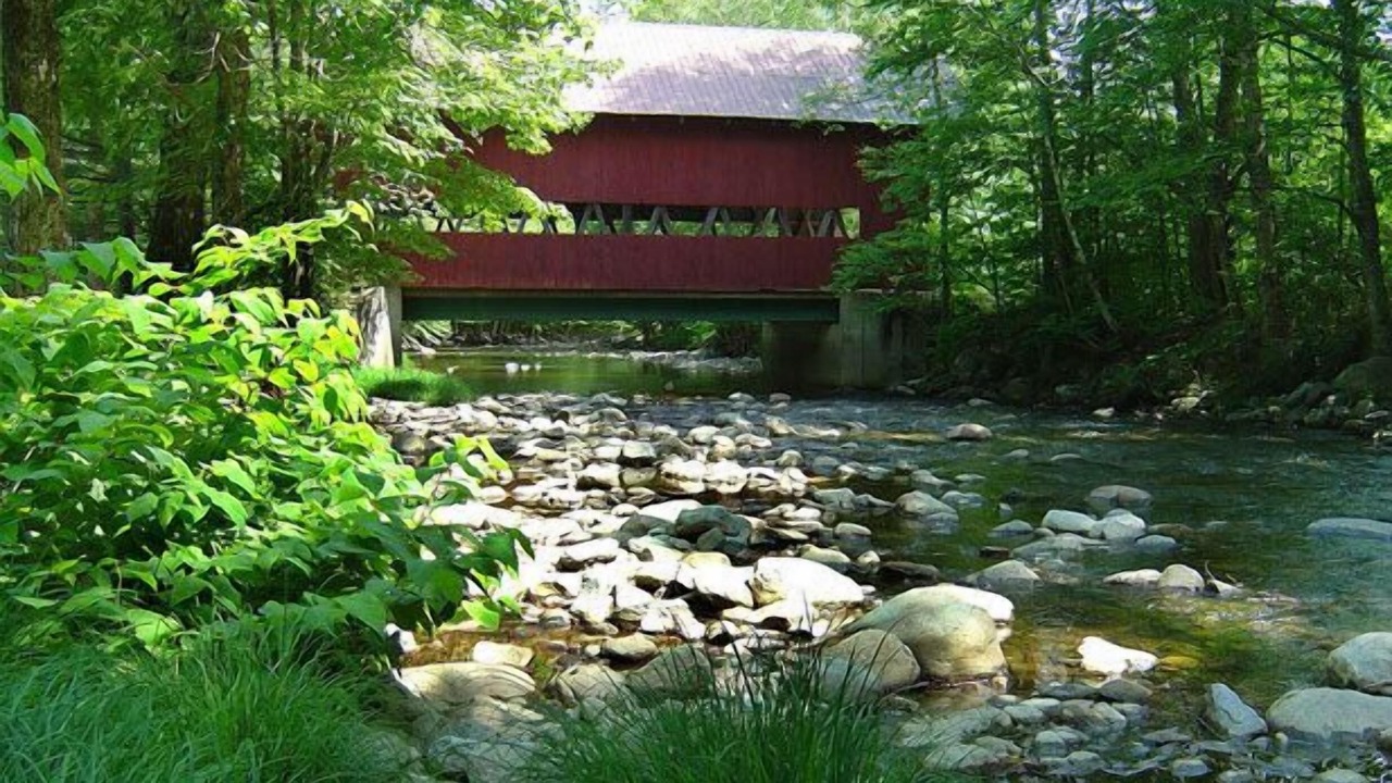 Photo of Others in Stowe Area