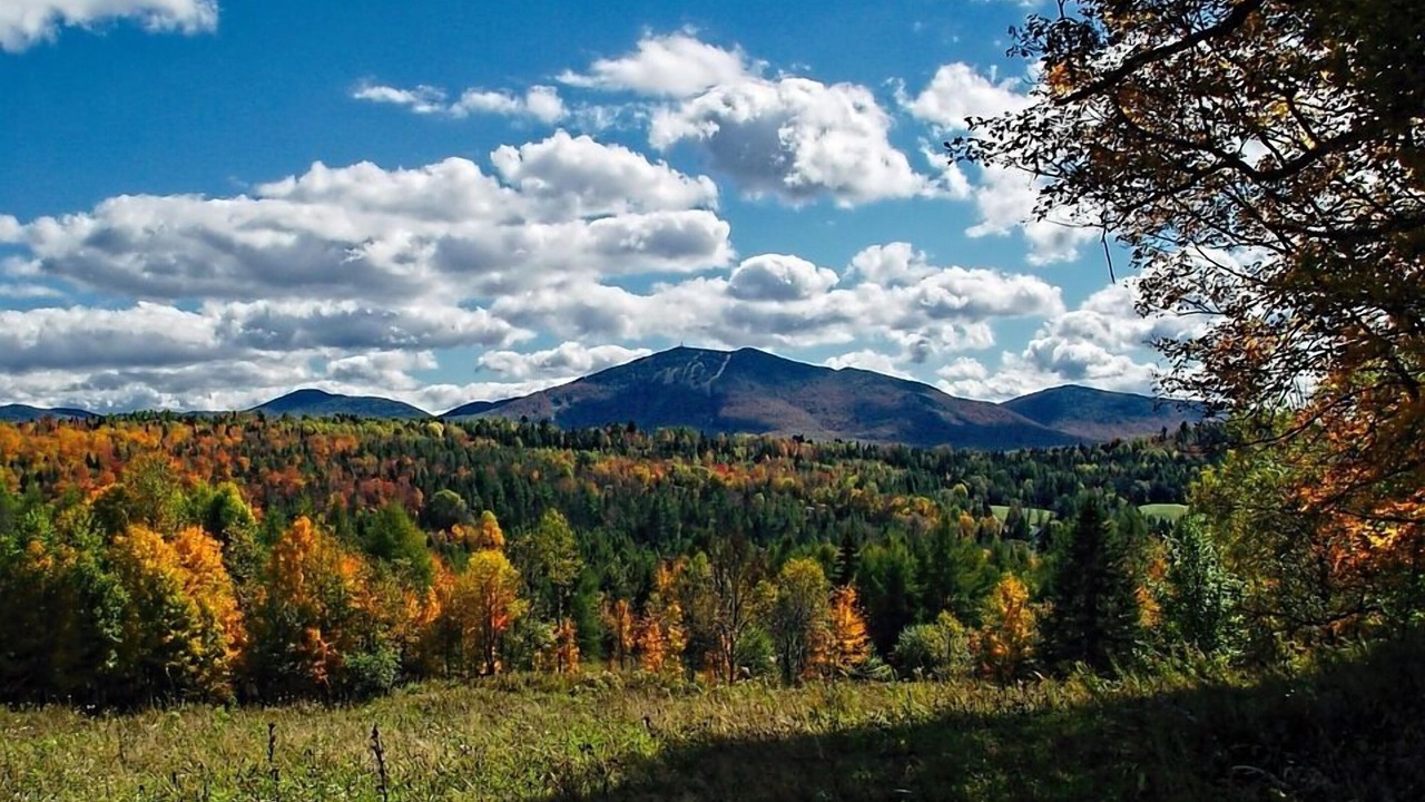 Photo of Others in Stowe Area