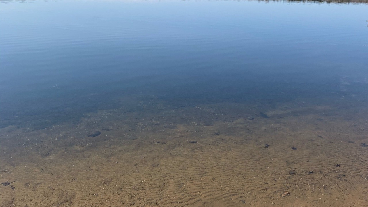 Photo of Others in Crosslake