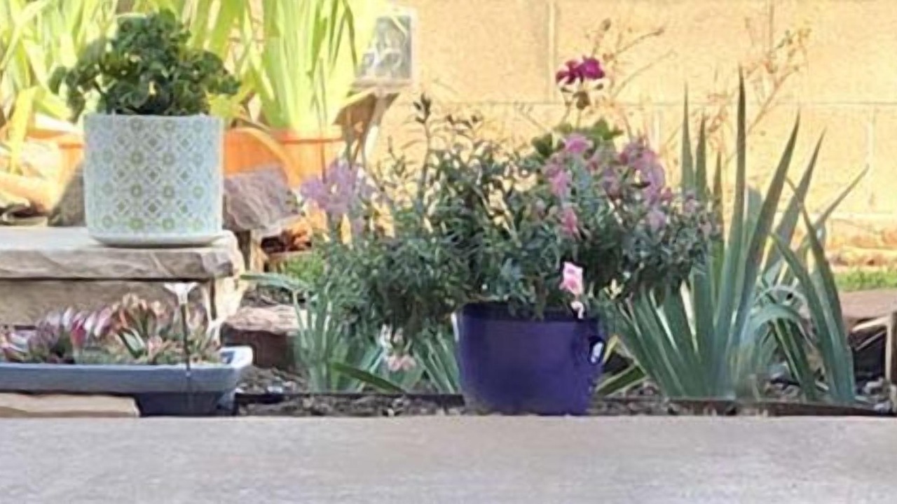 Photo of Outdoor in Santa Fe