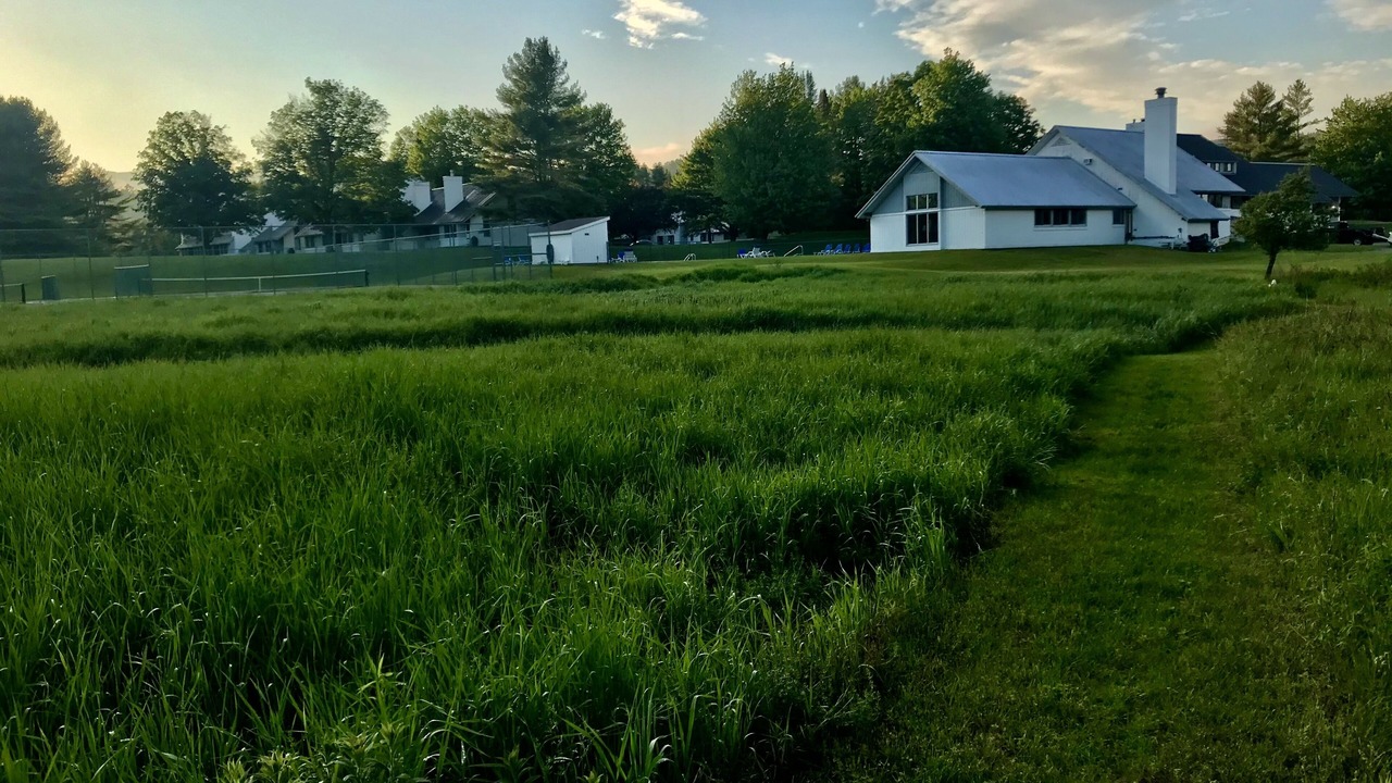 Photo of Others in Stowe Area